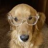 finoogy